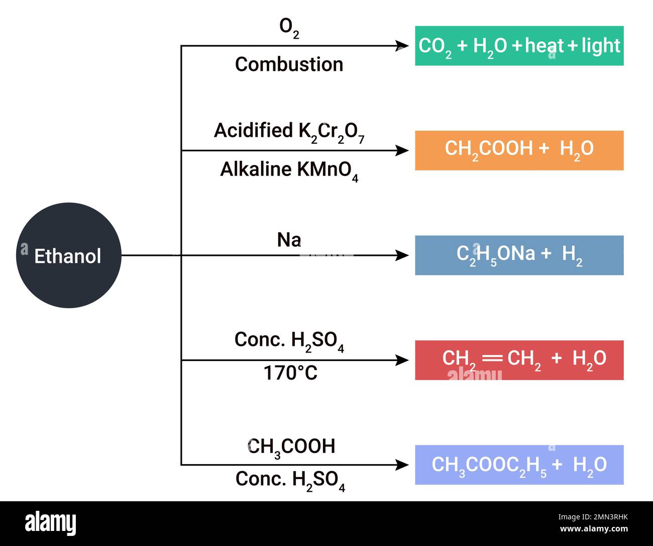 Ethanol fuel ethanol ethyl alcohol Stock Vector Images Alamy