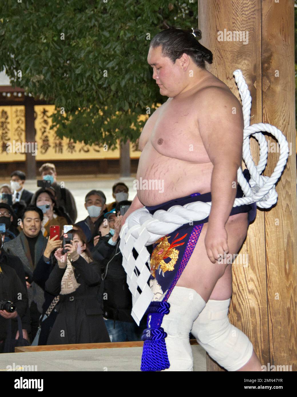 Yokozuna terunofuji hi-res stock photography and images - Alamy