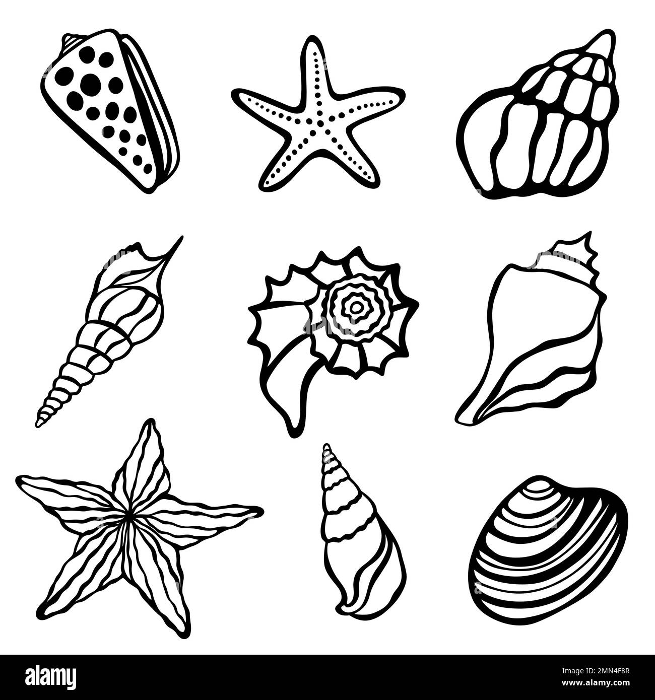 Cartoon seashells Stock Vector Images - Alamy