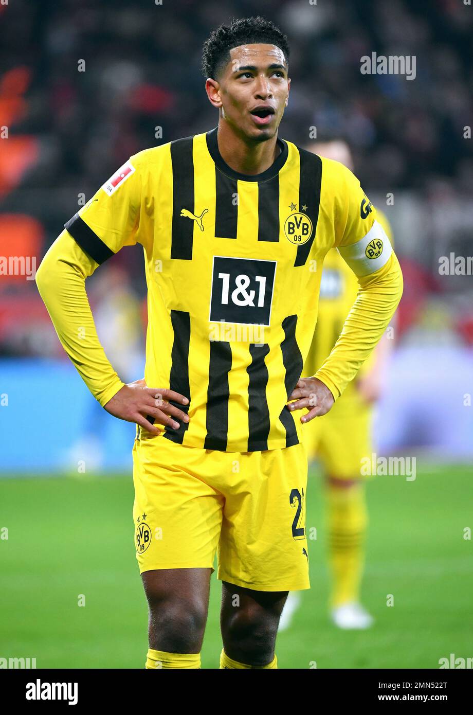 Bundesliga, BayArena Leverkusen; Bayer Leverkusen vs Borussia Dortmund