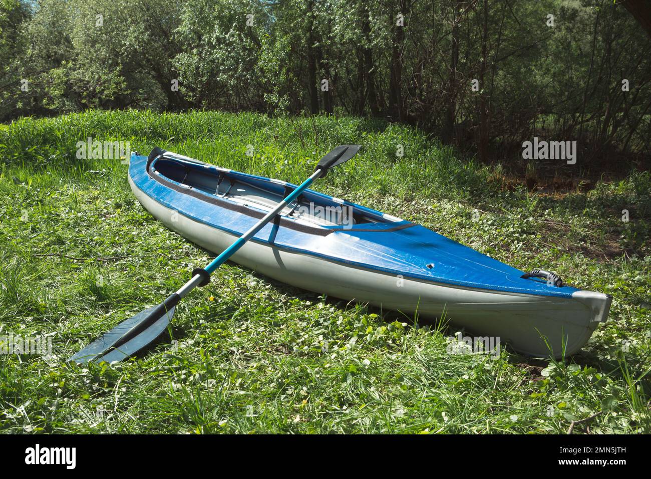 Tourist canoes with paddles stand on the river coast in summer on a