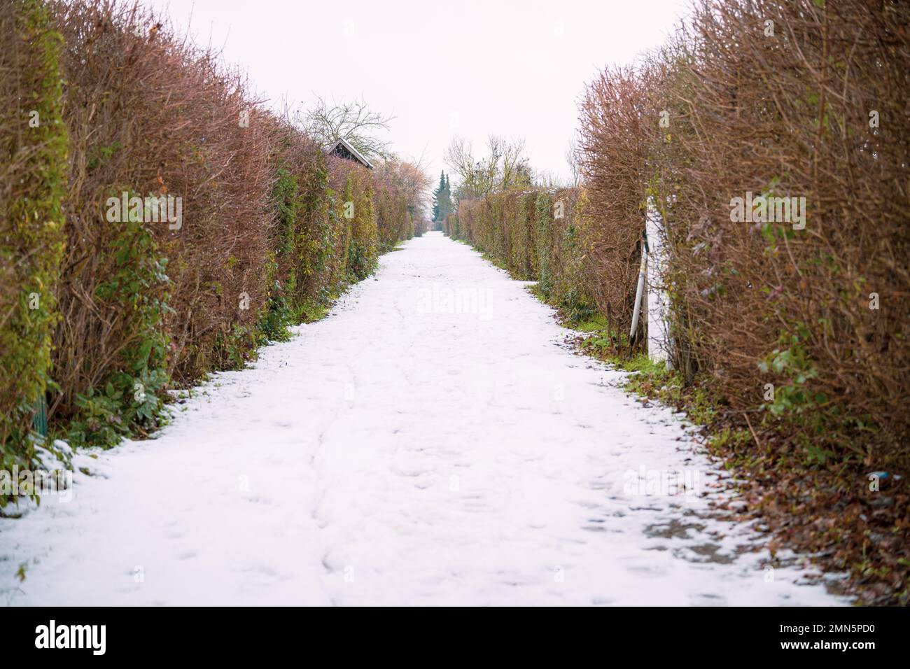 Beautiful winter landscape Stock Photo