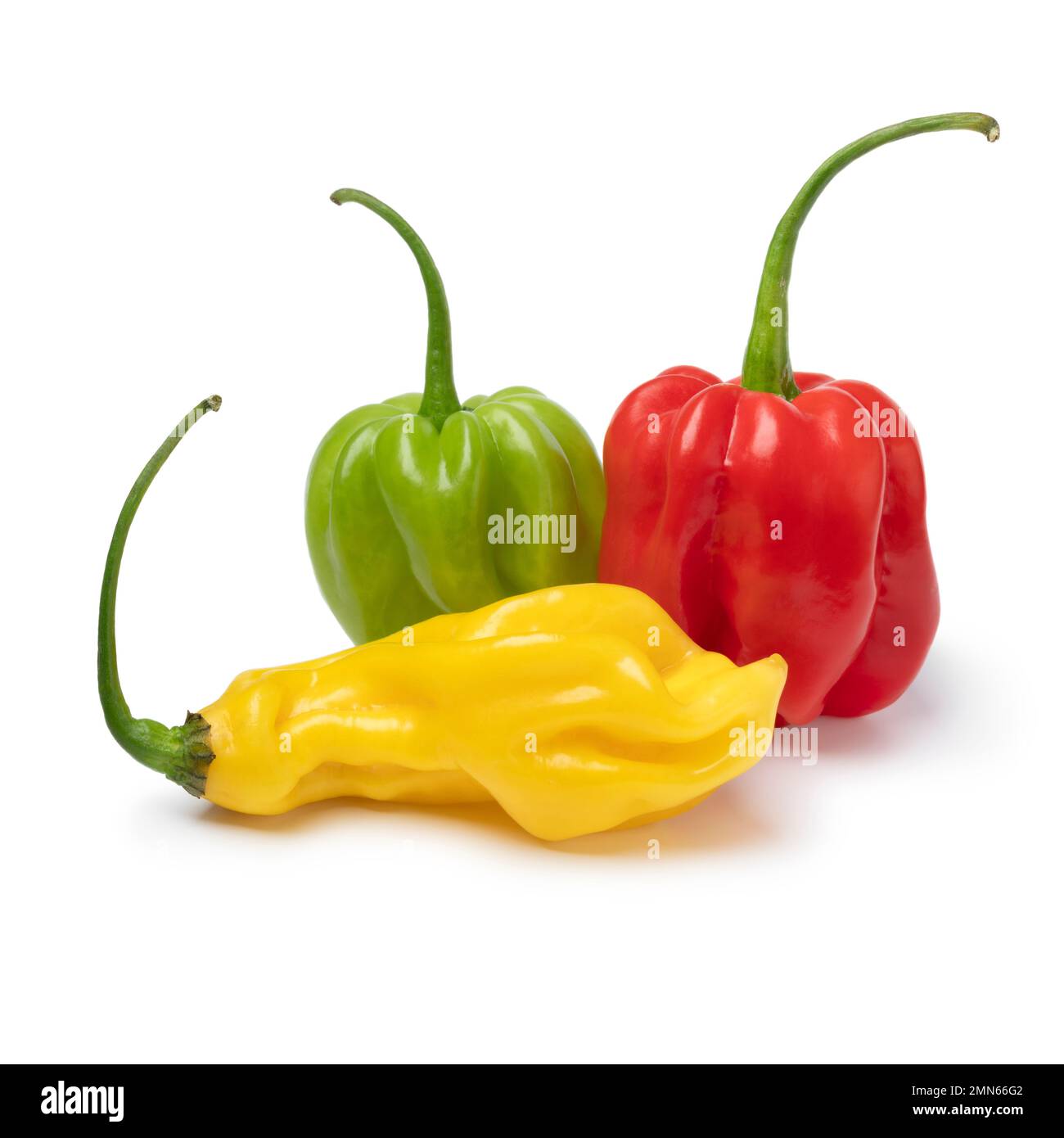 Group of fresh red, green and yellow scorpion chili peppers  isolated on white background Stock Photo