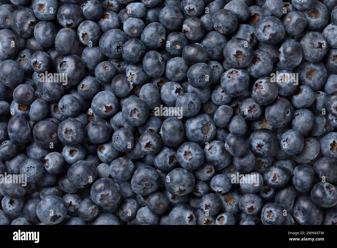 Fresh ripe blueberries full frame as background close up Stock Photo