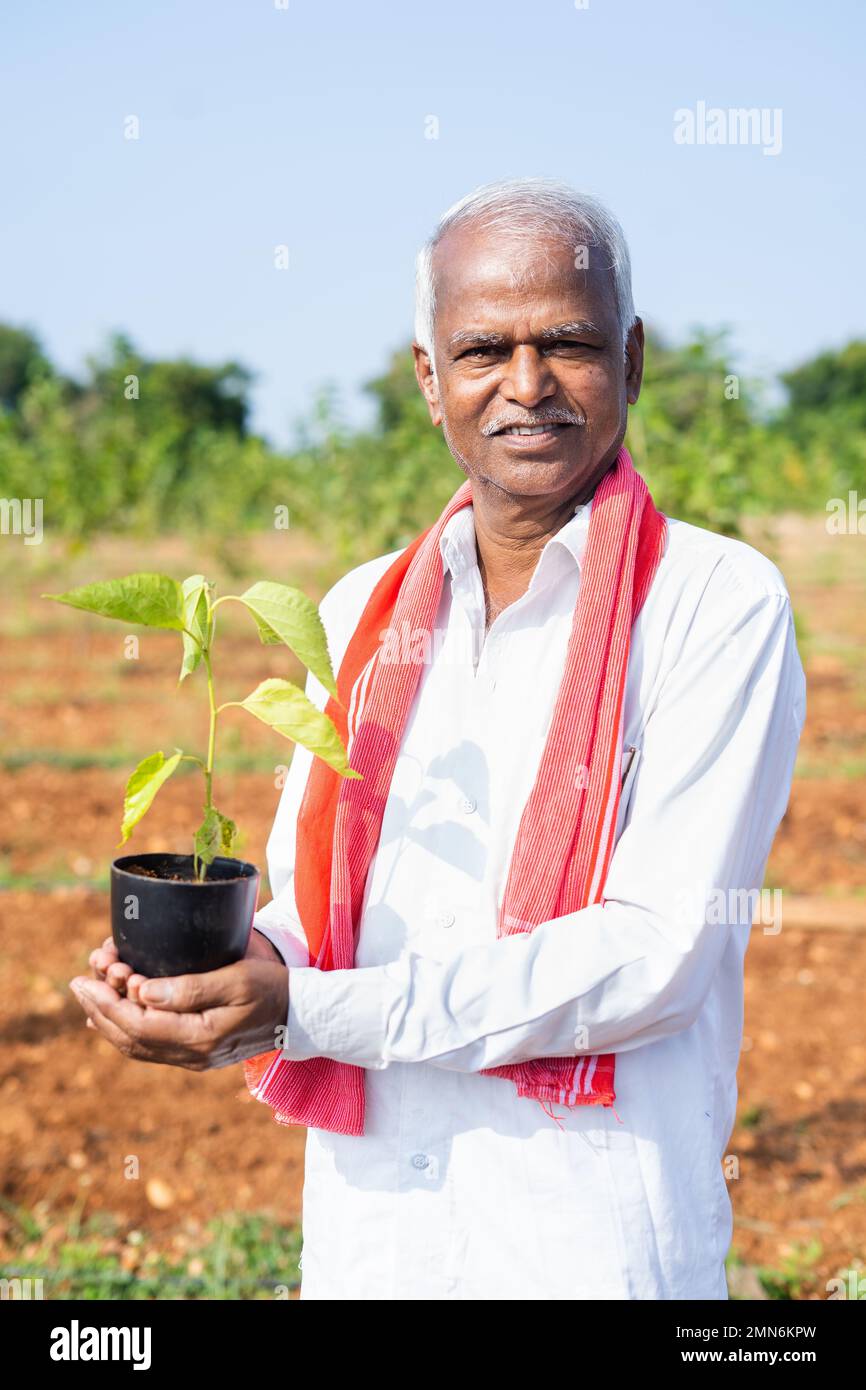 Vertical shot of farmer holding tree plant by looking at camera at farmland - concept of environmental, agriculture farming and sustainable lifestyle Stock Photo