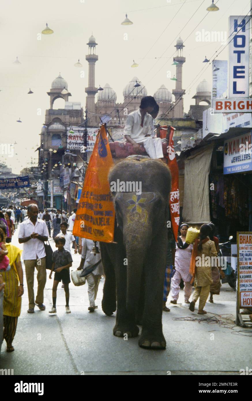 Historic Archive Image Of A Decorated Indian Elephant Ridden By Two