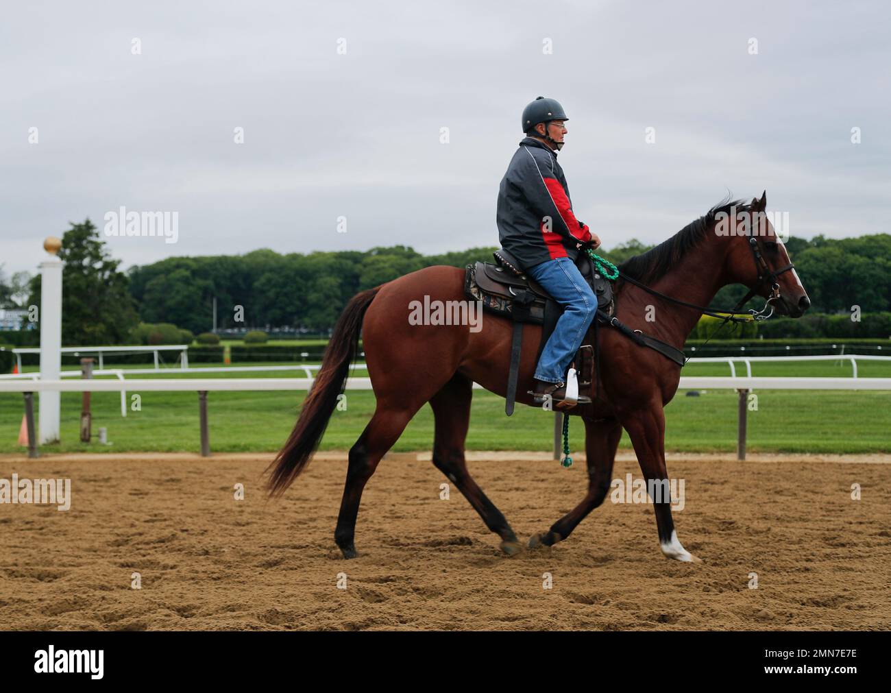 Trainer Bill Mott watches thoroughbred workouts at Belmont Park