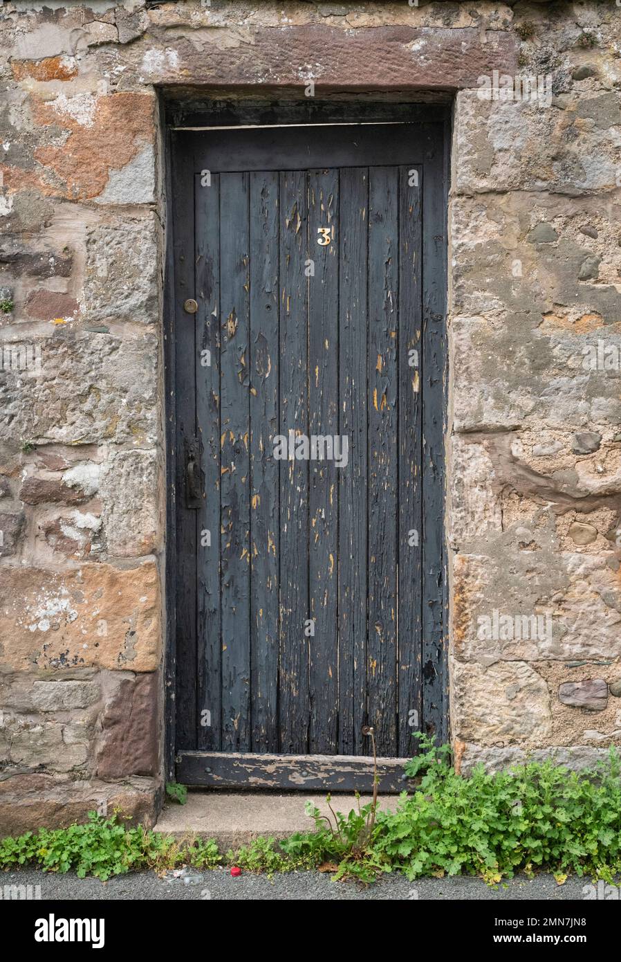 Back gate entrance to terrace house Stock Photo Alamy
