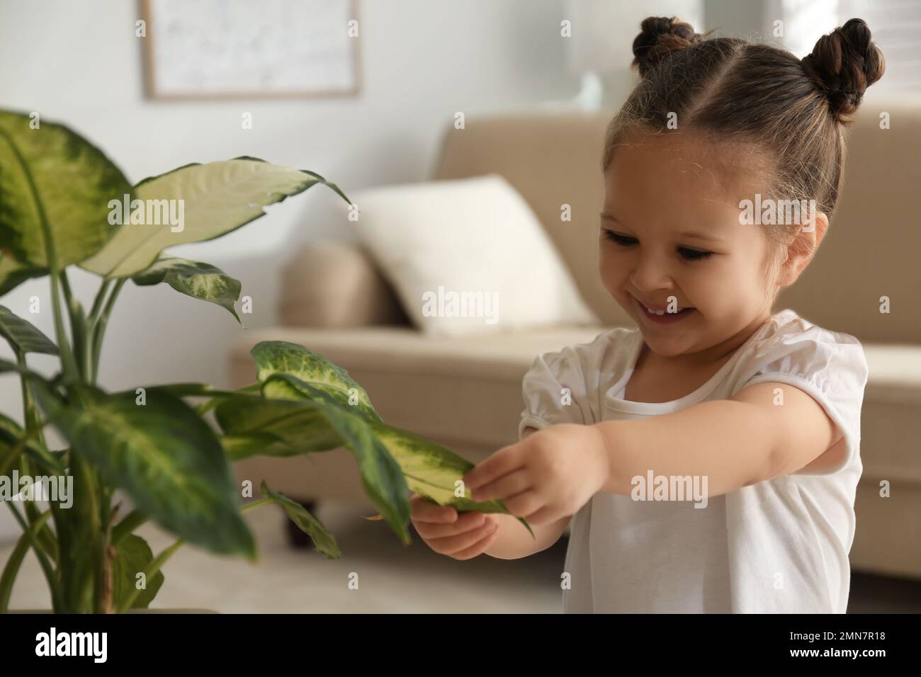 Little girl playing with houseplant at home Stock Photo