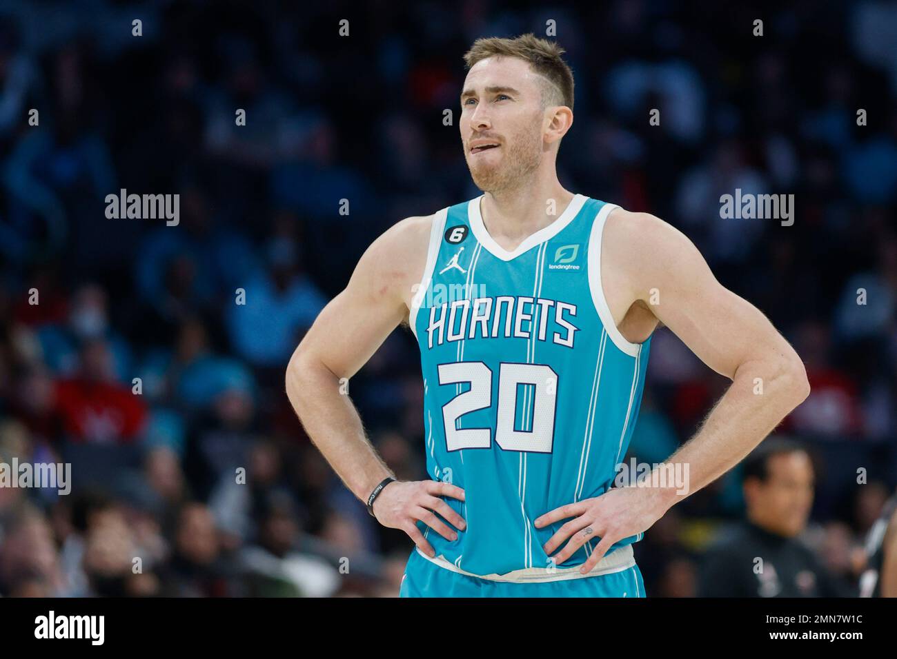 gordon hayward charlotte jersey