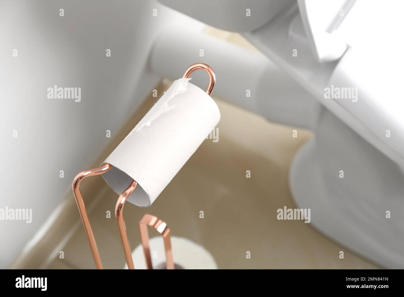 Empty toilet paper roll hires stock photography and images Alamy