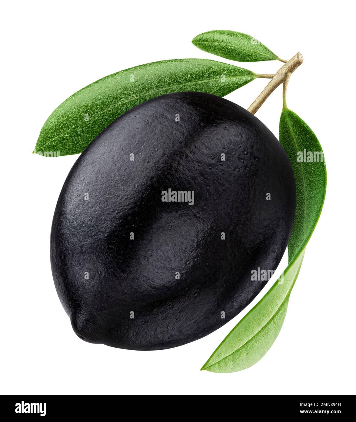 One black olive isolated on white background Stock Photo