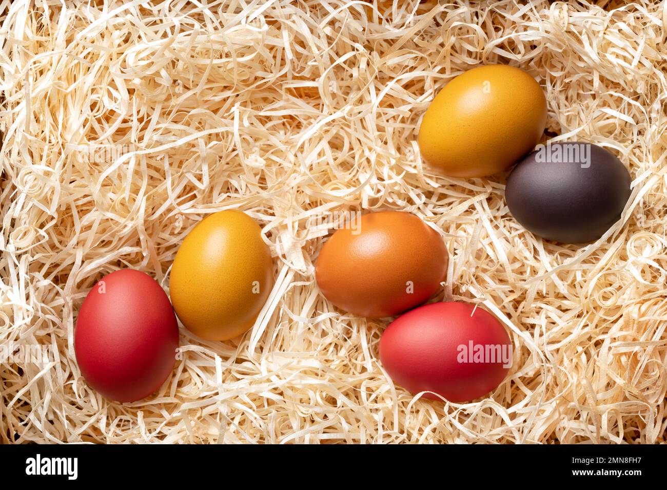 Colorful dyed Easter eggs in a wood wool nest, from above. Paschal eggs, hard boiled, colored chicken eggs, in a bed of wood slivers, cut from logs. Stock Photo