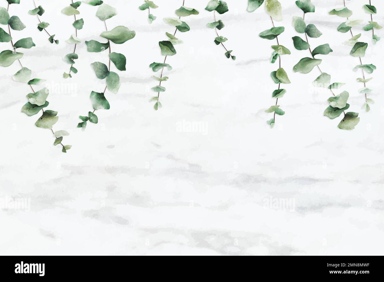 Hand drawn eucalyptus leaf on white marble background vector Stock Vector