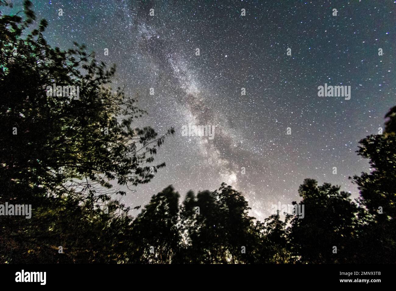 Starry sky and milky way seen from the woods Stock Photo - Alamy