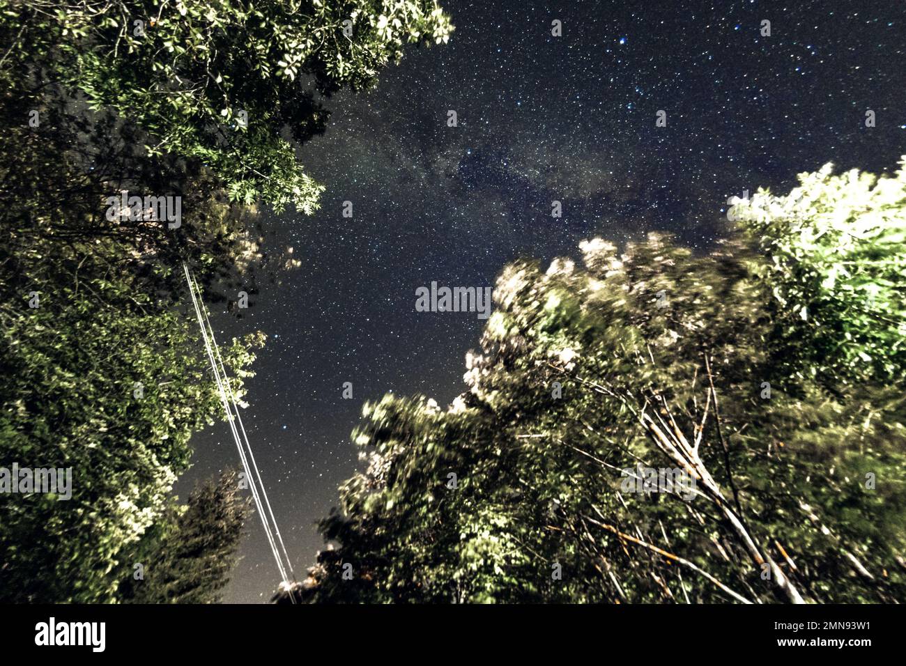 Starry sky and milky way seen from the woods Stock Photo - Alamy
