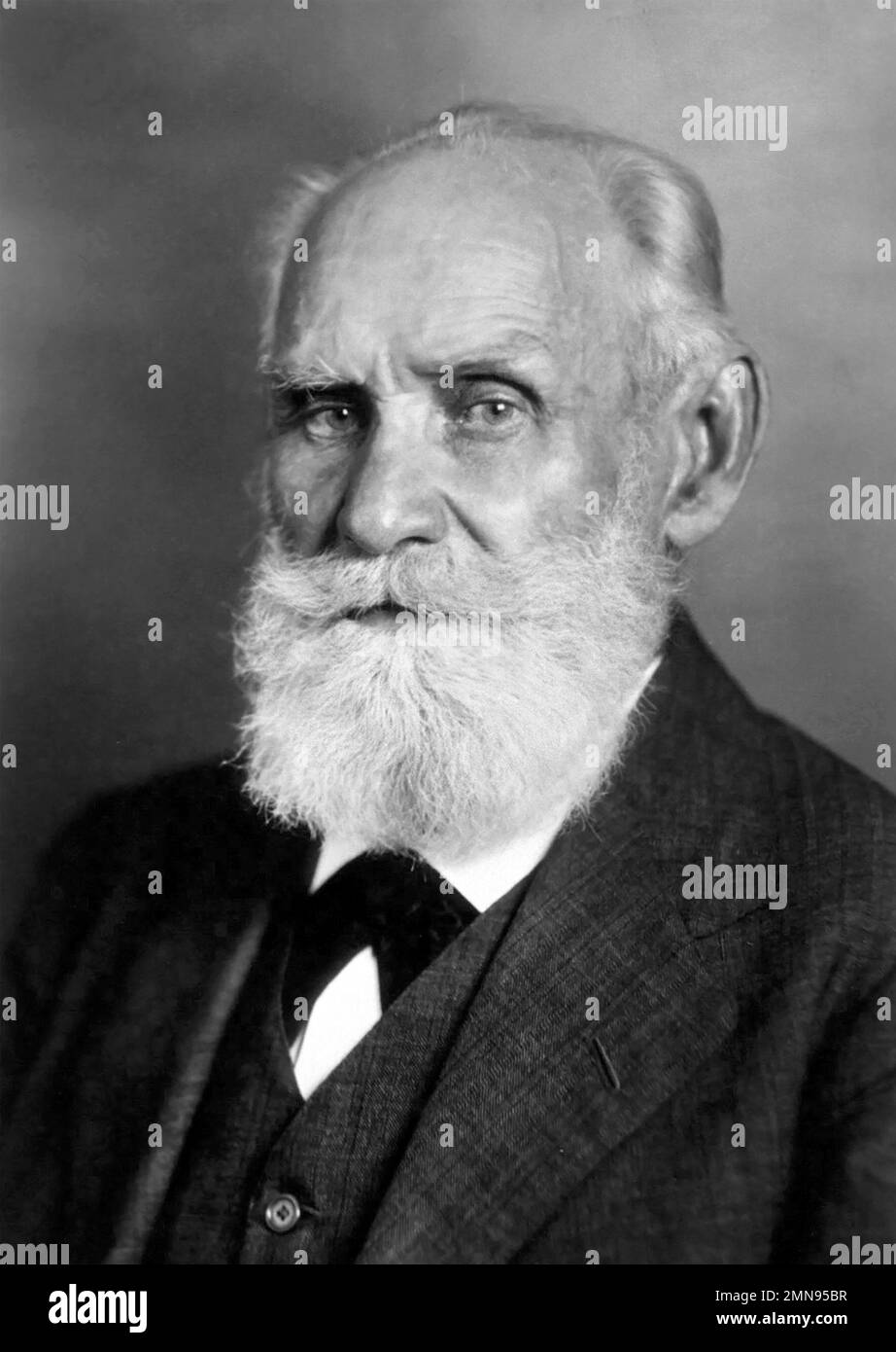 Ivan Pavlov Portrait Of The Russian Psychologist Ivan Petrovich 