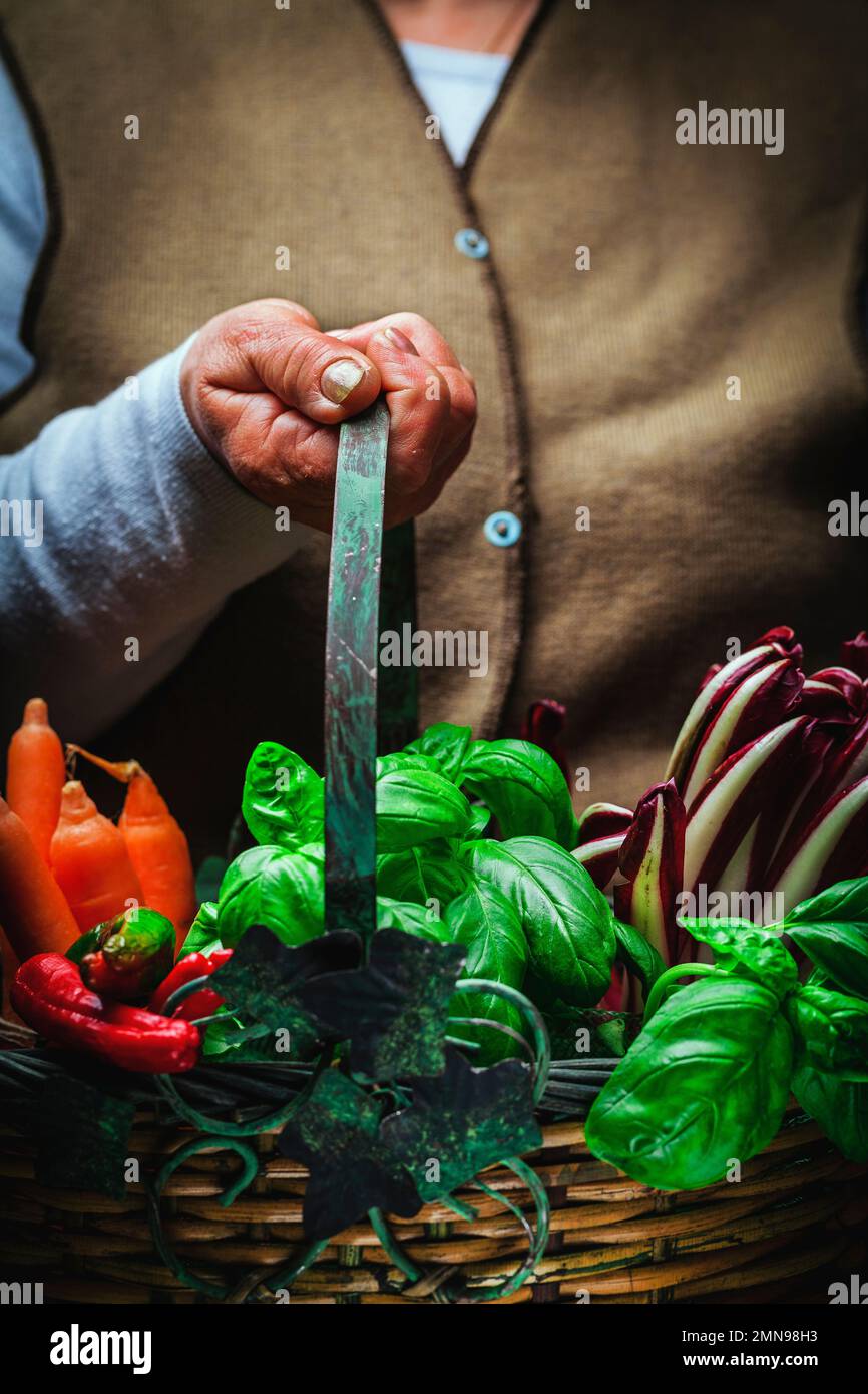 Vegetables and fresh fruit, grown and harvested in the countryside in a