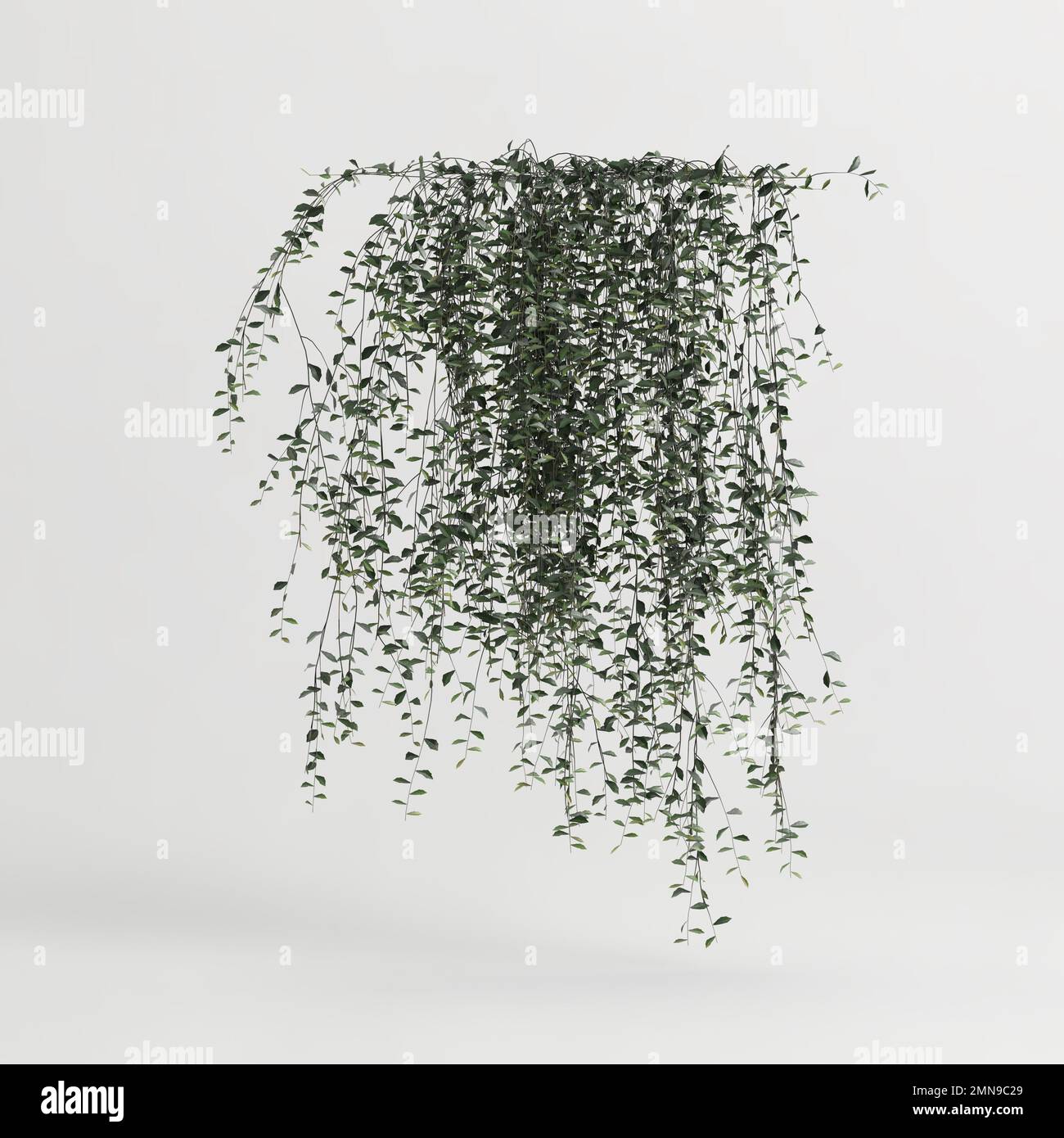 3d illustration of ivy plant isolated on white background Stock Photo ...