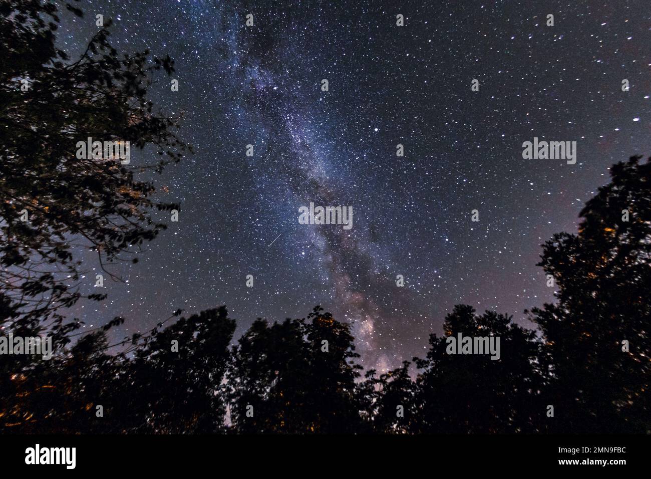 Starry sky and milky way seen from the woods Stock Photo - Alamy