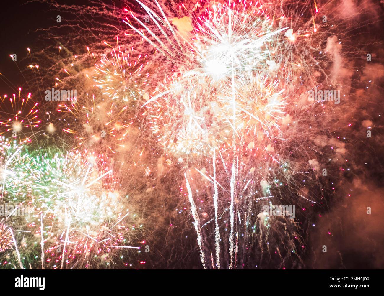 Shot of a firework in the night sky Stock Photo