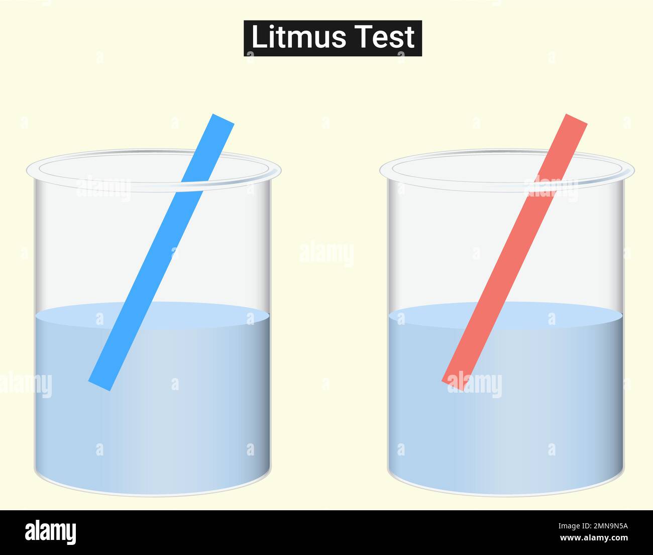 Litmus Test: Water is neutral in nature. Hence, it does not give any color with blue and red litmus paper. Stock Vector