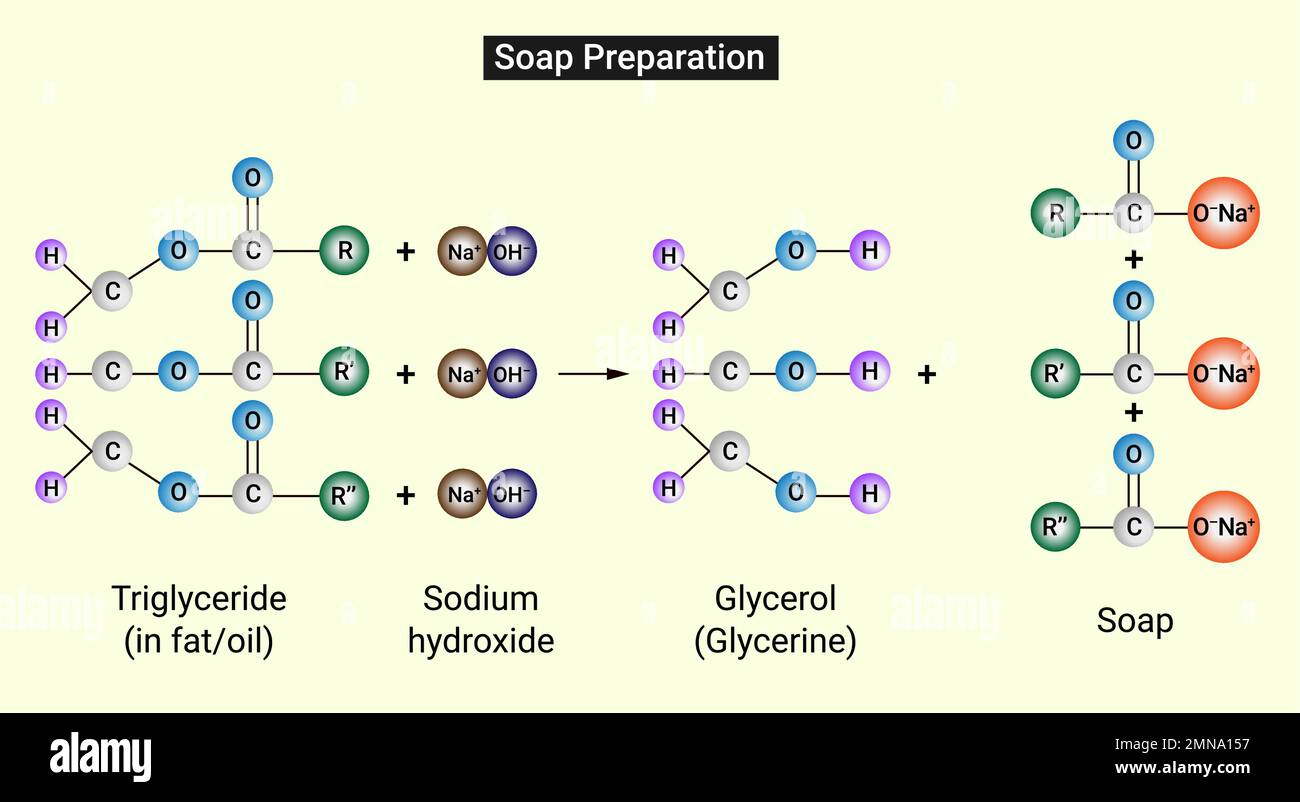 Preparation Of Soap Chemistry