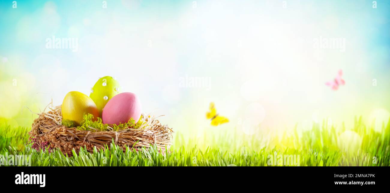 Easter composition with colorful Easter eggs in nest on green grass. Easter concept with copy space. Stock Photo