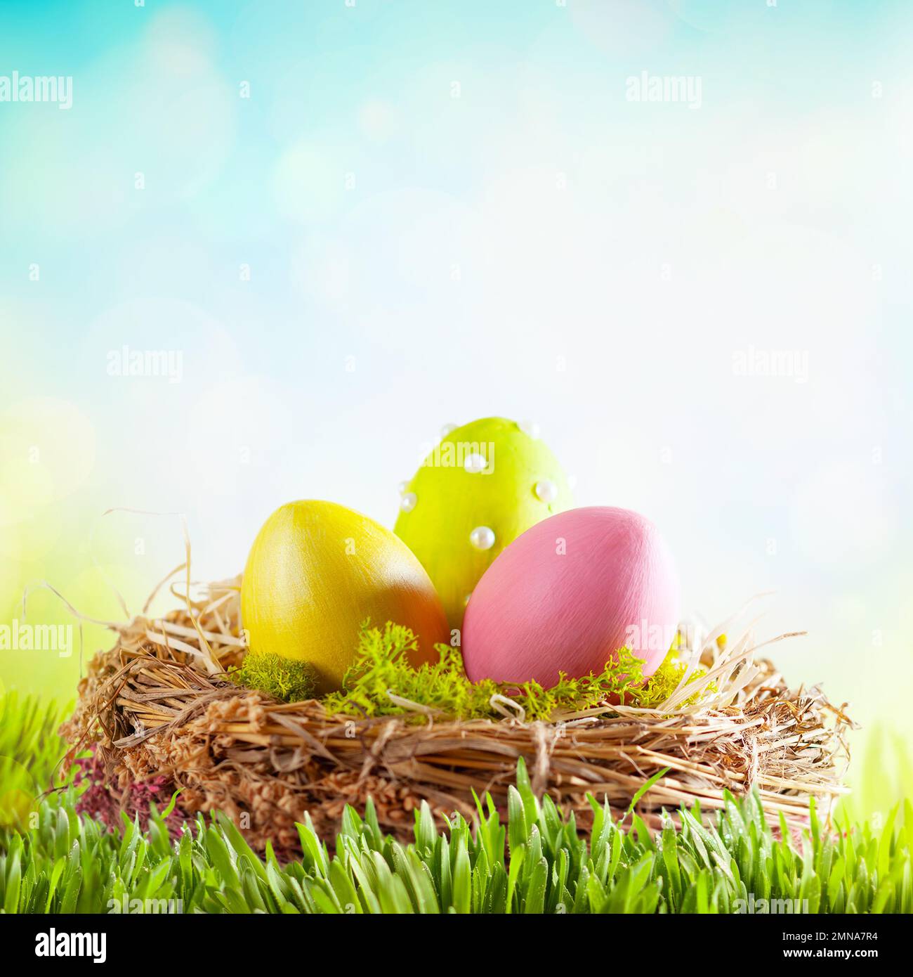 Easter composition with colorful Easter eggs in nest on green grass. Easter concept with copy space. Stock Photo