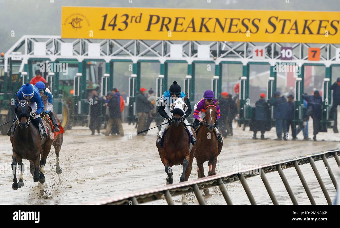 Four horses leave the gate in the second race ahead of the 143rd