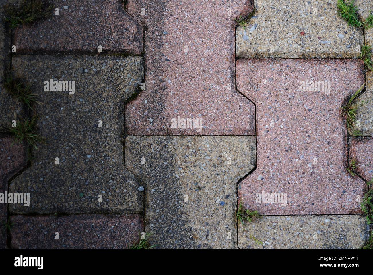 garden pavement paved path floor slabs interlock half clean and dirty