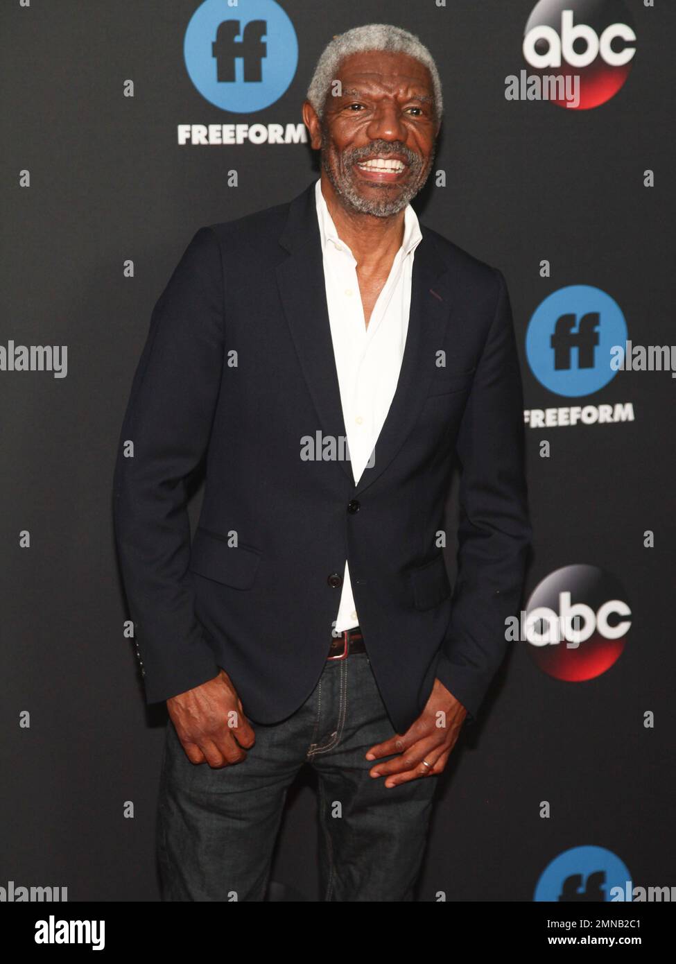 Vondie Curtis-Hall attends the Disney/ABC/Freeform 2018 Upfront Party ...