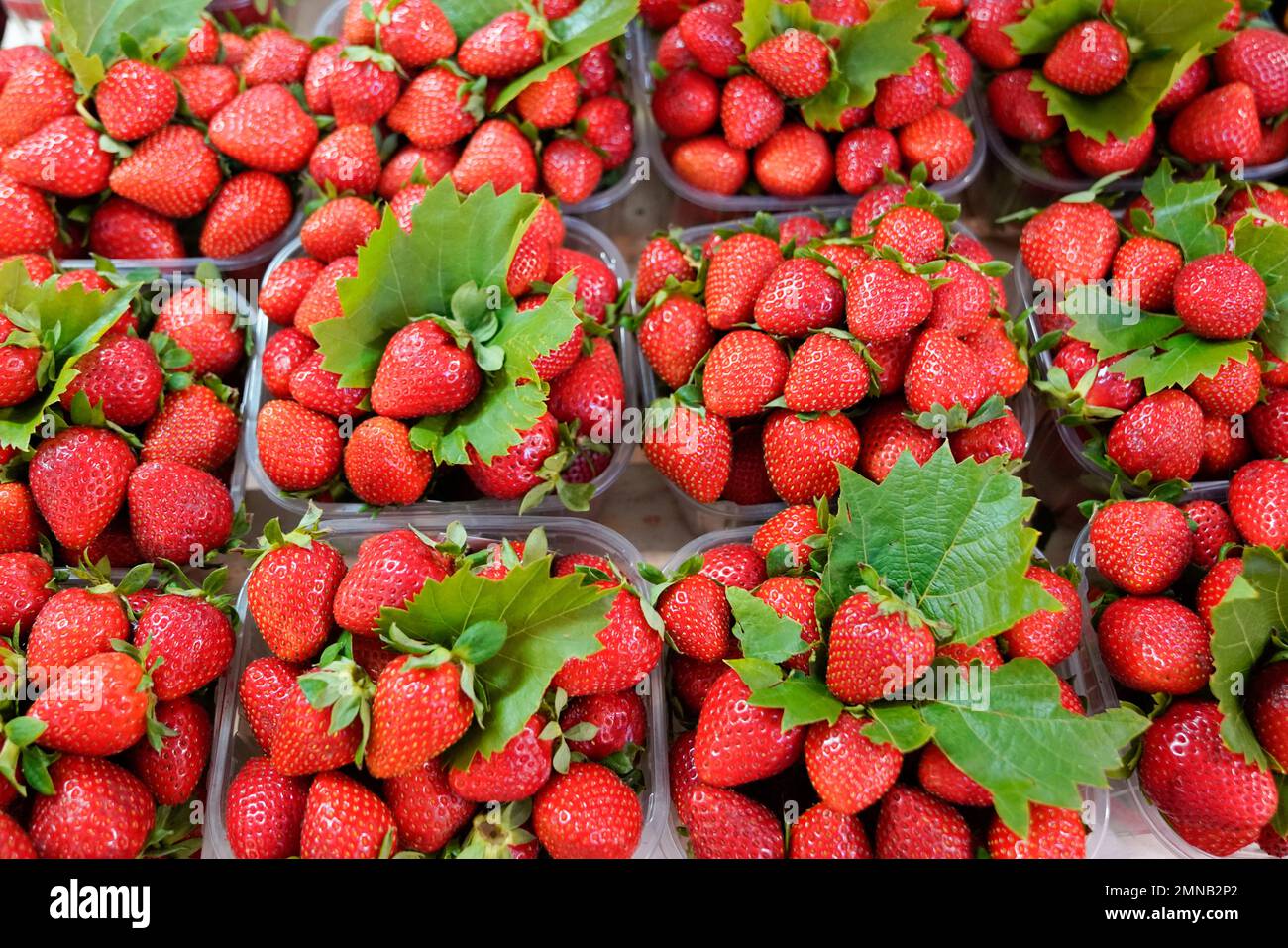 Strawberries in tray at market hi-res stock photography and images - Alamy