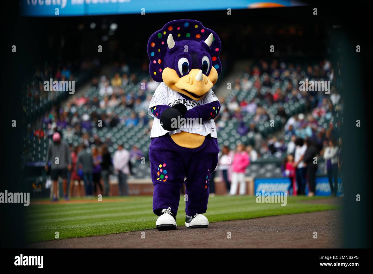 Colorado Rockies mascot Dinger, front, and his father, Dug, in the first  inning of a baseball game Sunday, June 19, 2022, in Denver. (AP Photo/David  Zalubowski Stock Photo - Alamy