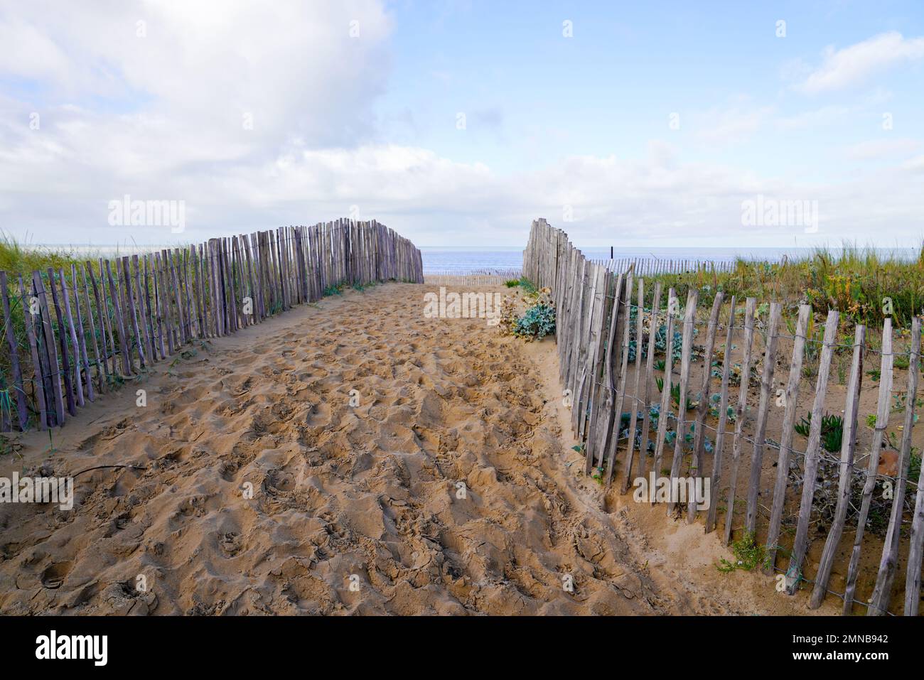 pathway sand atlantic beach access in Fouras coast in west France Stock