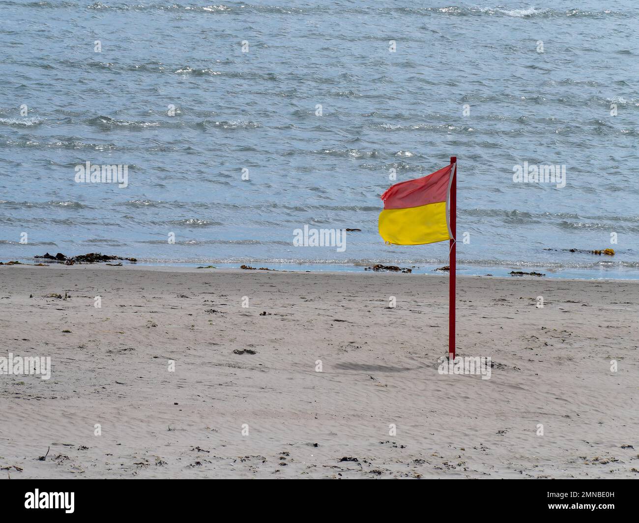 Red and yellow flag allowing swimming on the sandy seashore. Public