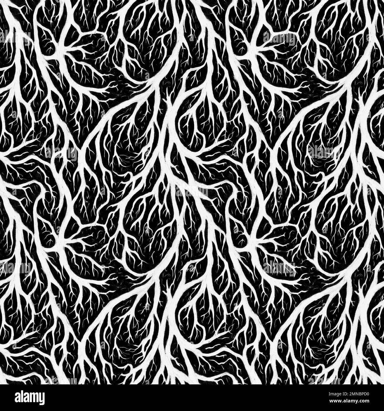 Oak tree roots underground hi-res stock photography and images - Alamy