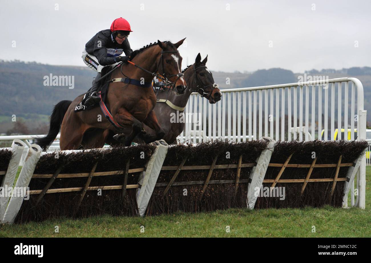 Race eight, The Ballymore Novices Hurdle Race.   Way Out ridden by Tom Cannon jumps the last    Horse Racing at Cheltenham Racecourse, Prestbury Park Stock Photo