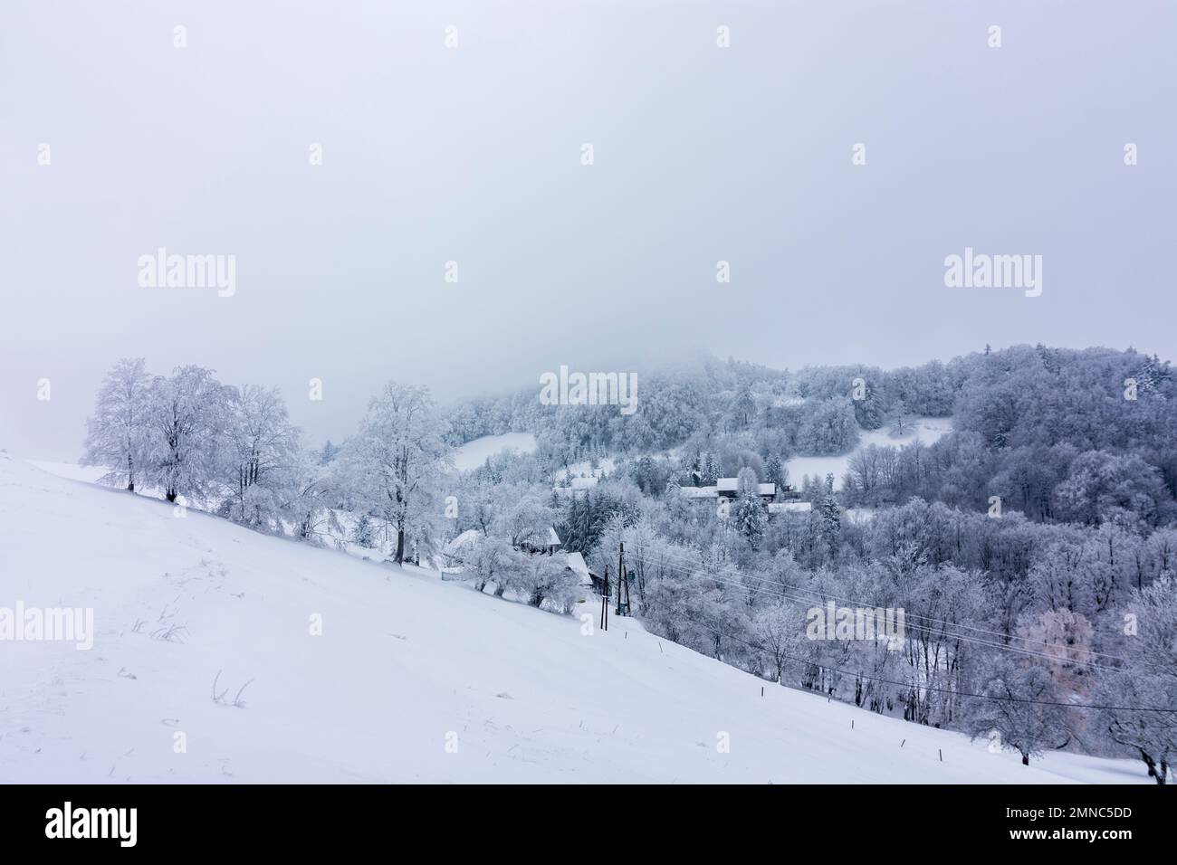Hainfeld: farm houses at Oberholzhof, mountain Gföhlberg, snow in Mostviertel, Niederösterreich, Lower Austria, Austria Stock Photo
