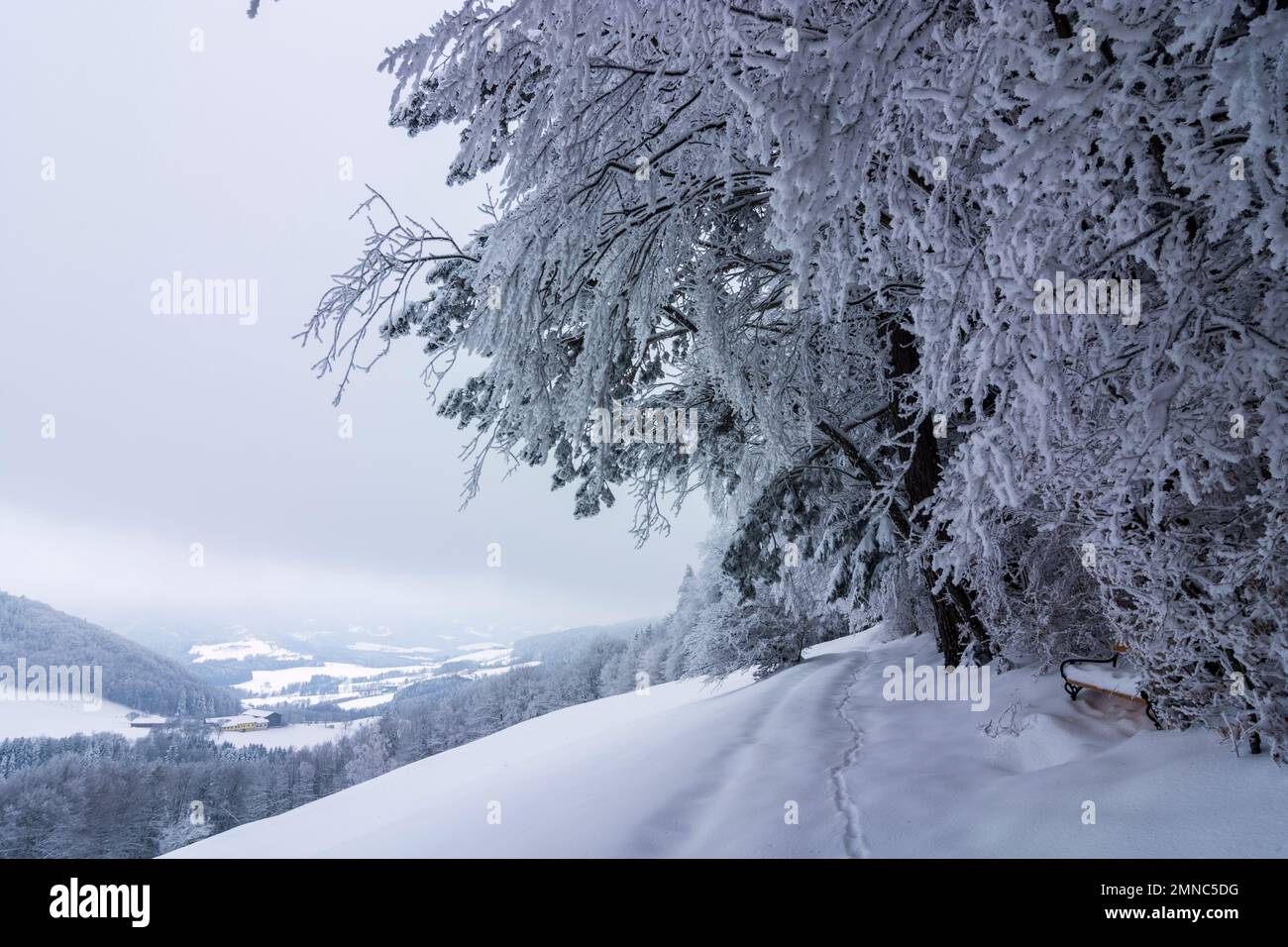 Hainfeld: view from Oberholzhof at mountain Gföhlberg to valley Gölsental, snow in Mostviertel, Niederösterreich, Lower Austria, Austria Stock Photo