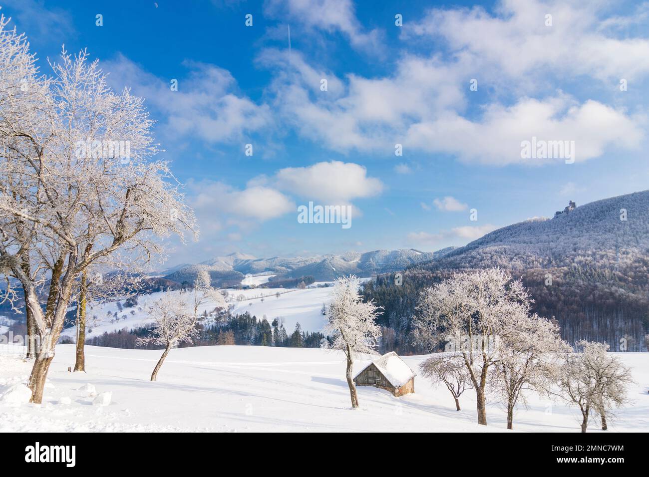 Kaumberg: mountain Hocheck (center), Araburg Castle, barn, snow in Mostviertel, Niederösterreich, Lower Austria, Austria Stock Photo