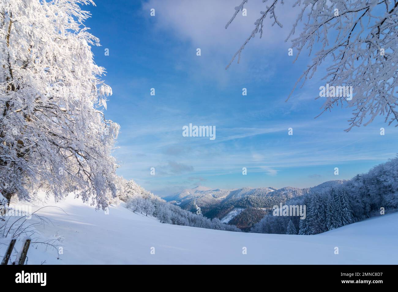 Kaumberg: mountain Hocheck (right), snow covered trees in Mostviertel, Niederösterreich, Lower Austria, Austria Stock Photo