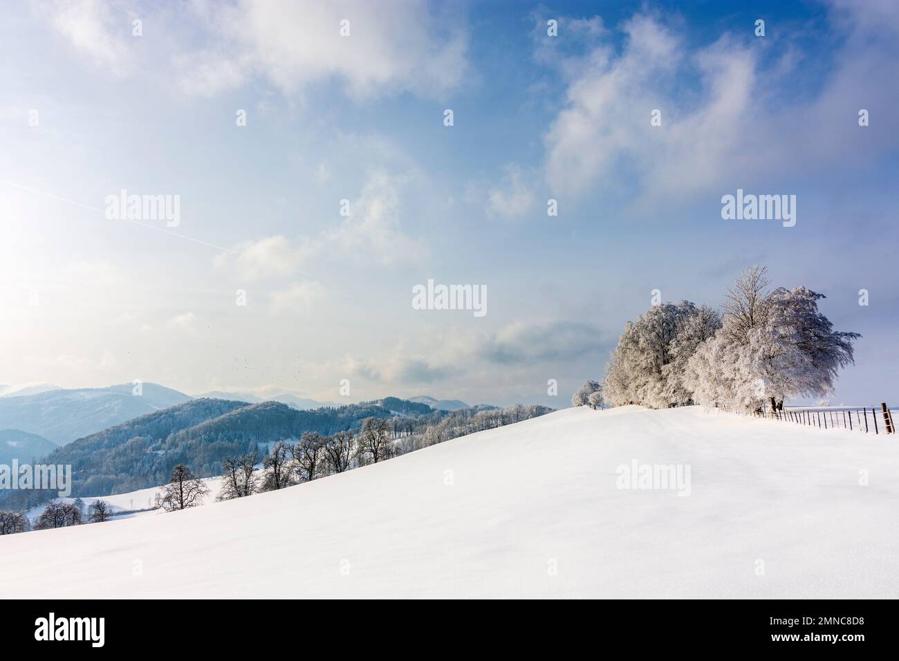 Kaumberg: Gutenstein Alps in snow in Mostviertel, Niederösterreich, Lower Austria, Austria Stock Photo