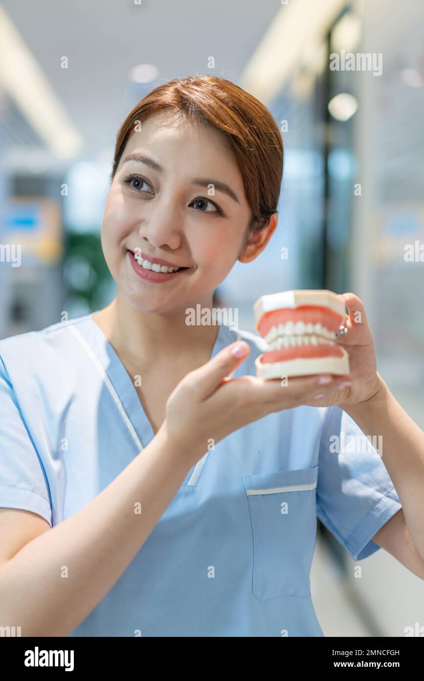 The nurse show teeth model in dental clinic Stock Photo Alamy