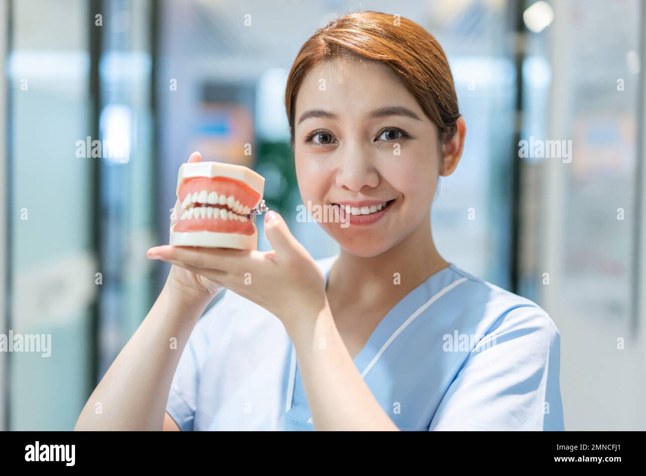 The nurse show teeth model in dental clinic Stock Photo Alamy