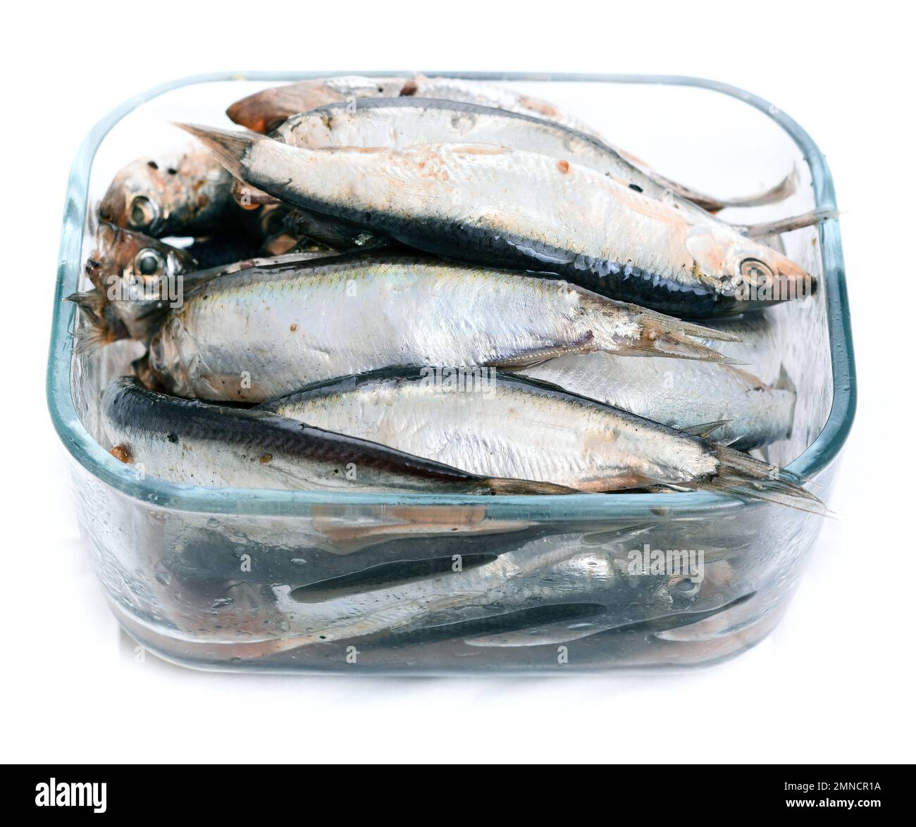 Salted in fine brine small ocean fish Stock Photo