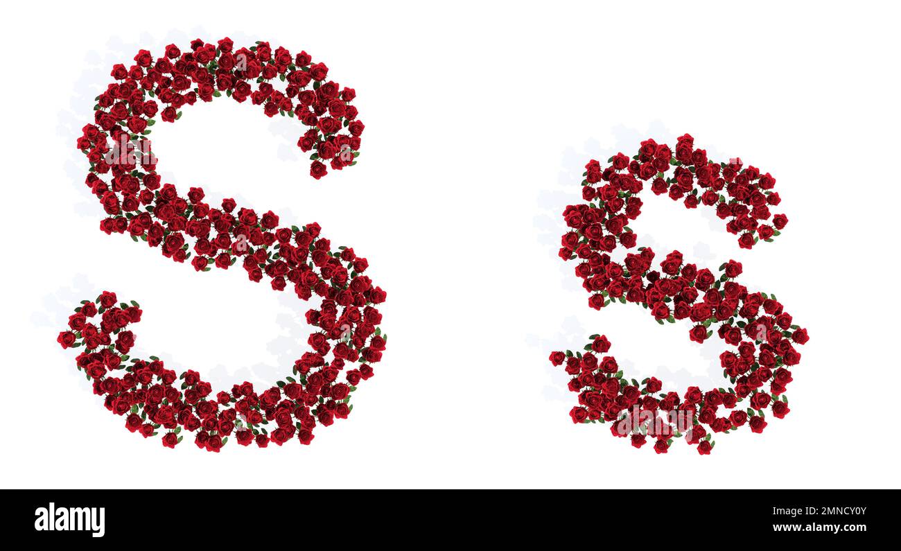 Concept or conceptual set of beautiful blooming red roses bouquets ...