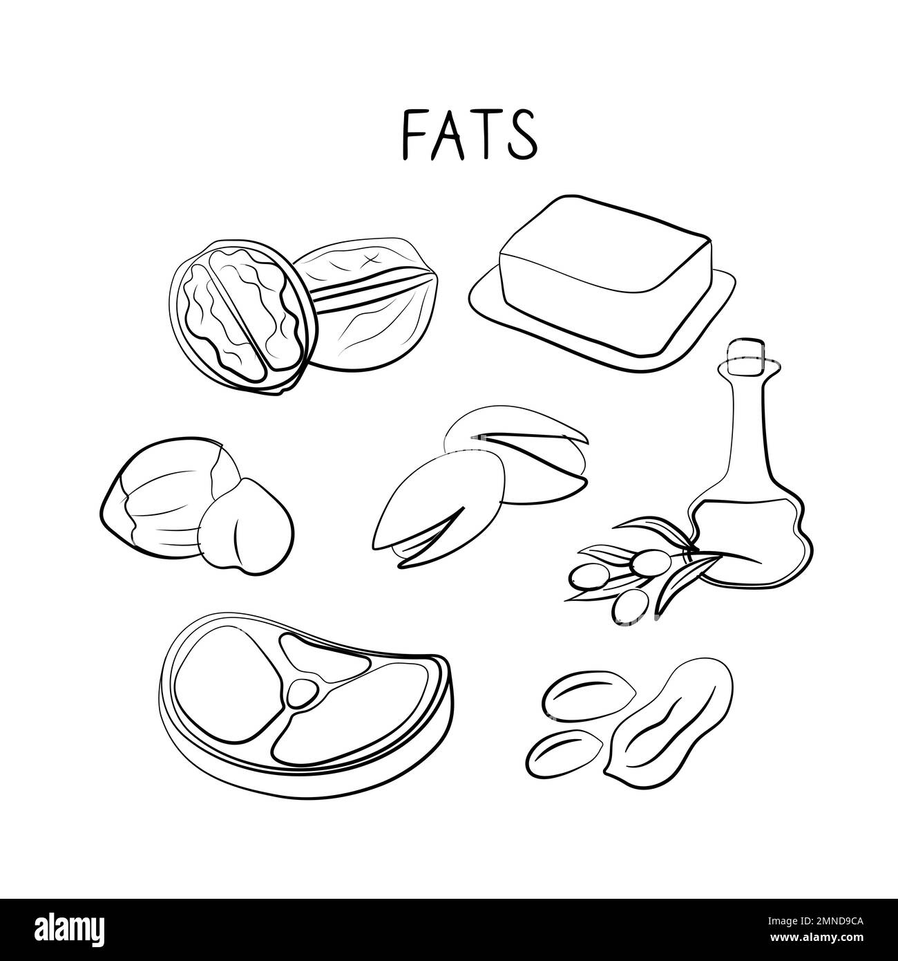fats-containing-food-groups-of-healthy-products-containing-vitamins-and-minerals-set-of-fruits