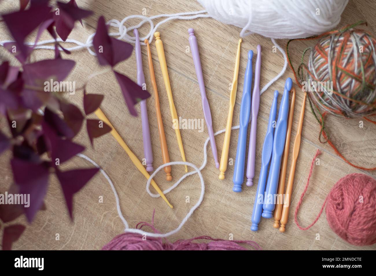 Top view of different colorful plastic crochet hooks near balls of wool, purple houseplant on wooden table. Handicraft. Stock Photo