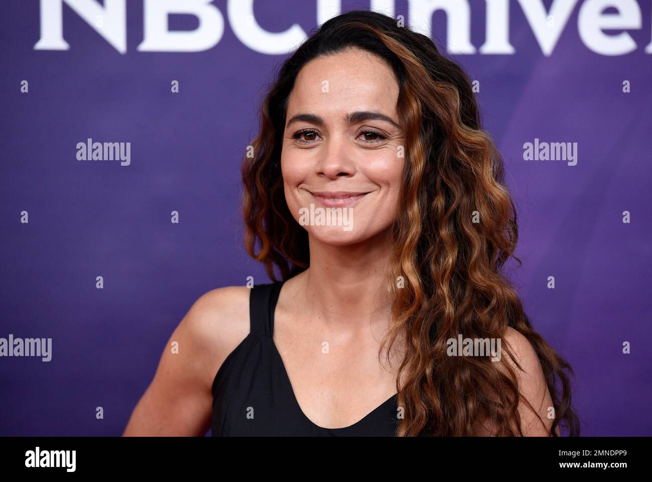 Alice Braga, a cast member in the USA series 